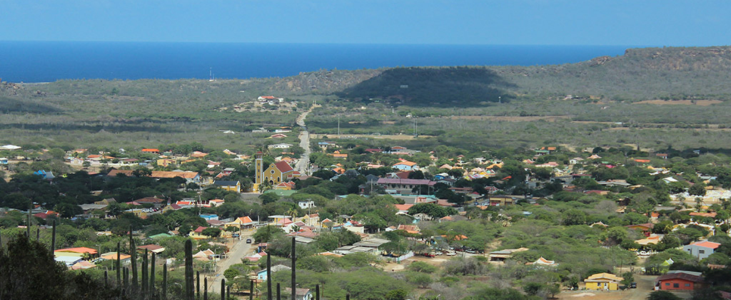 Bonaire landschap bijgesneden